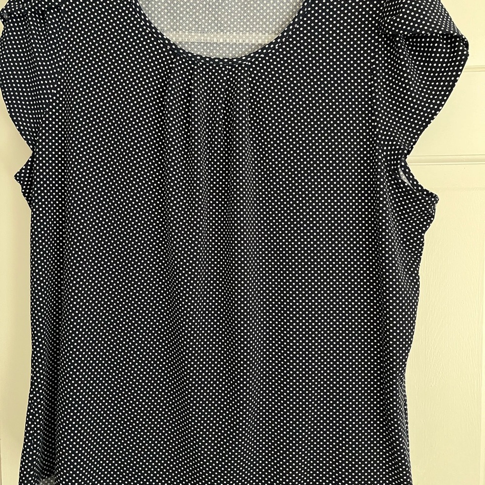 Adrianna Papell Blue and White Textured Blouse